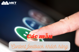 content feedback khách hàng