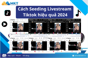 Cách Seeding Livestream Tiktok hiệu quả 2024